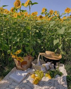 the sunflowers are blooming and there is a picnic table with food on it