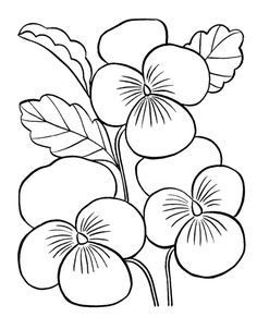 four flowers with leaves in the middle and one flower at the bottom, on a white background