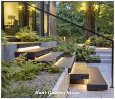 an outdoor garden with stairs and plants