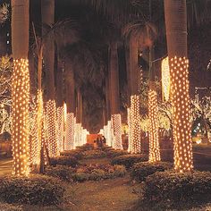 the trees are decorated with lights and polka dot decorations in an area that is surrounded by palm trees