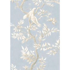 a wallpaper with white flowers and leaves on grey background in an elegant style design