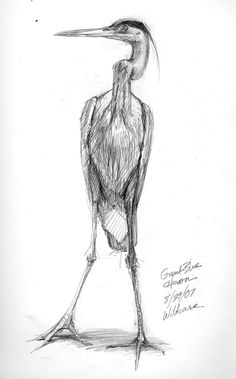 a drawing of a bird with long legs and a large beak on it's head