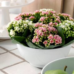 a white bowl filled with green and pink flowers on top of a table next to an apple