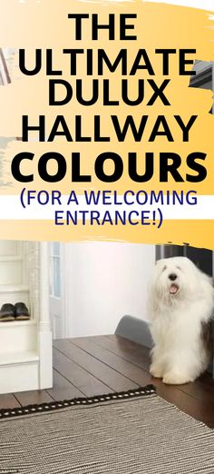 the ultimate dulux hallway colours, for a welcoming entrance. the Dulux dog is pictured underneath in a hallway. Hallways Color Ideas, Colour Ideas For Hallway And Stairs, Dulux Hallway Paint Ideas, Hallway Colour Schemes Dulux Paint Colors, Small Hallway Decorating Paint Colours, Hallway Decorating Colours Entrance Halls Paint Colors, North Facing Hallway Paint Colours, Hallway Colour Ideas Paint Colors, Hall Stairs And Landing Decor Paint Colors Colour Schemes