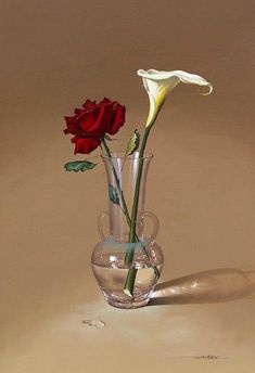 two red roses in a clear vase on a beige surface with a shadow behind them