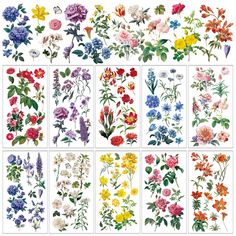 different types of flowers are shown in this image, and each has an individual flower arrangement