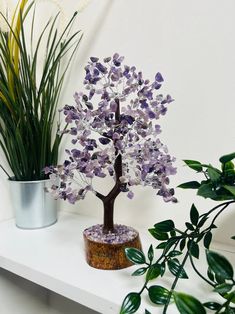 Pushkar Amethyst M Seal Natural Healing Gemstone Crystal Bonsai Fortune Money Tree For Reiki Healing Chakra Stone With Silver Wire 300 Crystal This crystal gemstone wishing tree brings strength and clarity to the intellect, aids concentration & memory retention, cleanses the emotional aspects, spreads compassion and potentiated with cosmic energy and Vastu Correction, Something simply beautiful like a gemstone tree can create a space where energy can freely flow and also attract good things.  Positive Energy   The healing Chakra Tree can dispel the negative energy and replace it with positive energy   Increase Creativity   Amethyst Crystal Tree for Healing Vastu Fensghui Prosperity also Increases Creativity   Ideal Gift   Bless yourselves and your loved ones with the spiritual healing and Spiritual Lavender Crystals For Gifts, Lavender Spiritual Crystals For Gift, Lavender Amethyst Crystals As A Gift, Lavender Amethyst Crystals For Gift, Handmade Lavender Crystals As A Gift, Handmade Lavender Crystals As Gift, Attract Good Things, Chakra Tree, Memory Retention