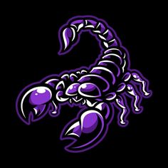 a purple scorpion on black background