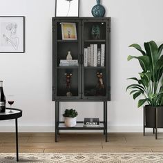 a black bookcase sitting next to a potted plant