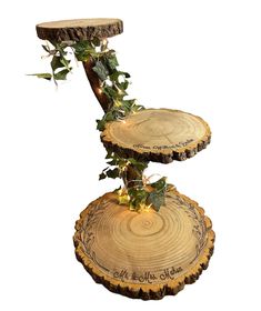 three tiered tree slice display with ivy on it's sides and lights in the middle