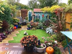 a garden with lots of plants and flowers in the center, including pumpkins on the ground