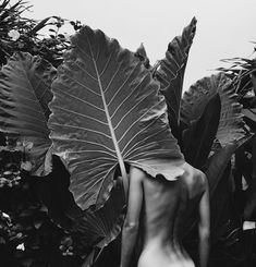 a naked woman standing in front of large leafy plants with her back turned to the camera