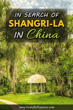 a gazebo surrounded by trees and grass with the words in search of shanghai - la in china