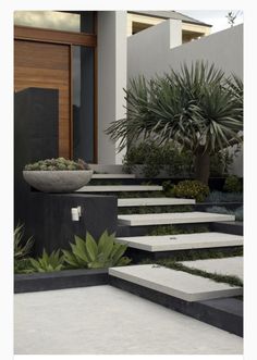 modern garden design with concrete steps and plants