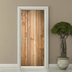 a potted plant sitting next to a wooden door in a room with beige walls