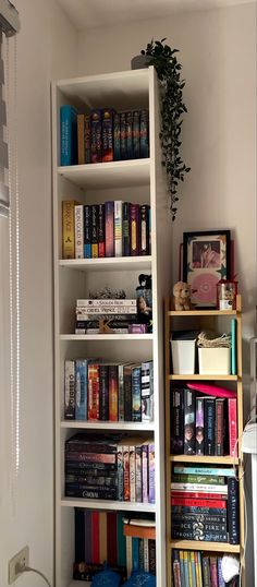 a bookshelf filled with lots of books next to a plant on the wall