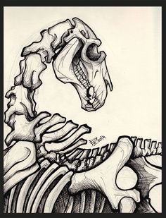 a black and white drawing of a skeleton with an animal's head in the background