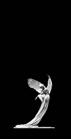 a black and white photo of a bird flying in the air with it's wings spread