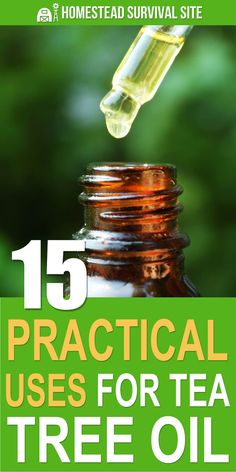 Tea tree oil can be a valuable addition to your medicine cabinet and cleaning supplies. Here are fifteen ways to use it and how. #homesteadsurvivalsite #teatreeoil #teatreeoiluses #essentialoils #naturalmedicine Uses For Tea Tree Essential Oil, Uses Of Tea Tree Oil, Teatreeoil Uses, How To Use Tea Tree Oil, What Is Tea Tree Oil Good For, Uses For Tea Tree Oil, Tea Tree Oil Uses For Skin, Yea Tree Oil, Survival Necessities