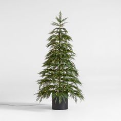 Our large faux evergreen recreates the hemlock tree's graceful cascade of lacy, fine-needled boughs. Studded with hundreds of tiny white lights, this fool-the-eye pine is impeccably crafted to look like the real thing. Plug in the pre-lit Christmas tree and watch it twinkle as it enlivens your holiday home for years to come with the look of a freshly cut hemlock tree.     Resin, plastic and iron  250 white LED lights  78" cord  Bendable branches  For indoor use only  Imported Faux Potted Hemlock Large Pre-Lit LED Christmas Tree with White Lights 6' Christmas Tree With White Lights, Hemlock Tree, Faux Christmas Trees, Faux Olive Tree, Christmas Window Display, Pre Lit Christmas Tree, Led Christmas Tree, Ficus Tree, Eucalyptus Tree