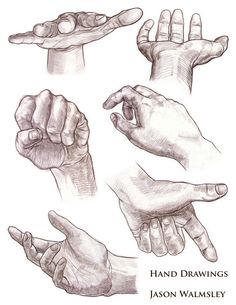 hand drawings by jason walmsley from the book, hands and feet in pencil