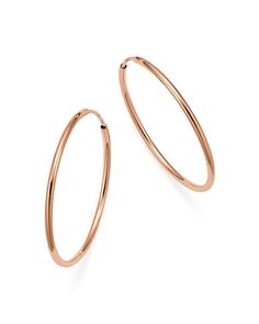 Rose Gold Hoop Earrings, Exclusive Jewelry, Earring Crafts, Gold Hoop, Gold Hoop Earrings, Yorkshire Terrier, Free Jewelry, Yorkshire, Jewelry Collection