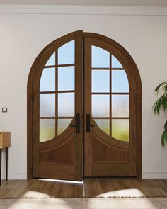 an open wooden door with two glass panes in the center and a potted plant on the other side