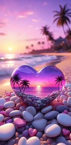 a heart shaped glass sitting on top of rocks near the ocean with palm trees in the background