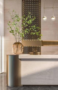 a plant in a vase sitting on top of a counter next to a light fixture