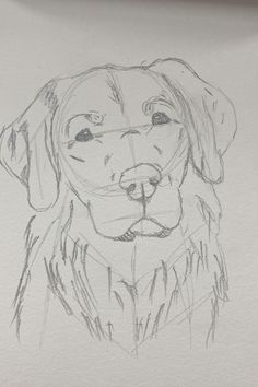 a drawing of a dog's face is shown