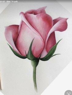 a drawing of a pink rose on a white paper with a pencil in the foreground