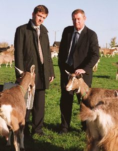 two men in suits standing next to goats