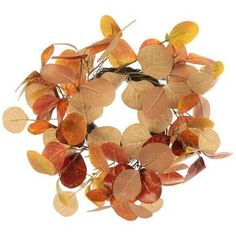 a wreath made out of leaves on a white background