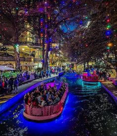 a boat filled with people riding down a river next to trees covered in christmas lights