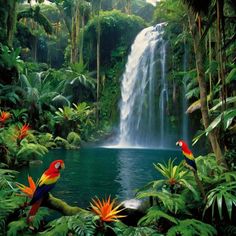 two parrots sitting on a branch in front of a waterfall with tropical plants and trees