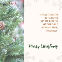 a christmas card with the words jesus is the reason for the season, may god bless you and your family with hope, love and joy