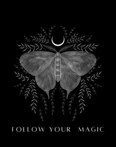 a black and white photo with the words follow your magic