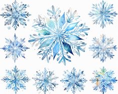 watercolor snowflakes on white background