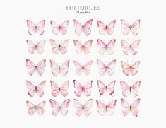 a group of pink butterflies on a white background with the words butterflies written in it