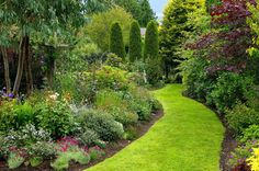 a lush green garden with lots of flowers and trees