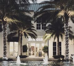 palm trees and fountains in front of a large white building with glass windows at night