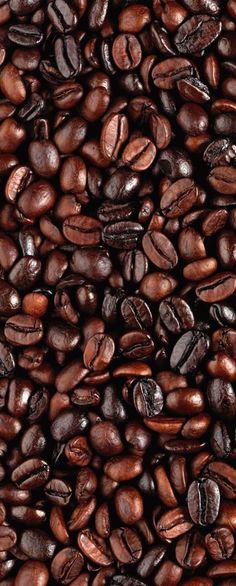 coffee beans are shown in this close up photo, which is very dark and shiny