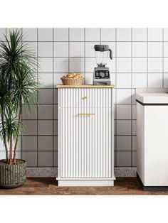 a white cabinet sitting next to a potted plant