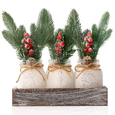 three jars with plants in them sitting on a shelf