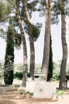 Charming Château de Sannes, with a authentic rehearsal dinner under the olive three in Provence.