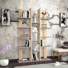 a living room with bookshelves and pictures on the wall