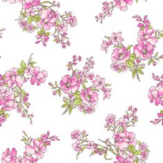 pink flowers and green leaves on a white background