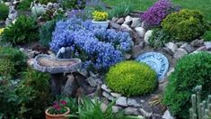 a garden filled with lots of different types of flowers and plants on top of rocks