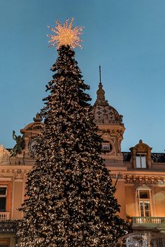 a large christmas tree is lit up in front of a building with a clock tower