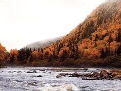 a river with rocks in the middle and trees on both sides that are changing colors